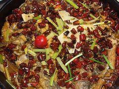 -老板恋上鱼(恒隆广场店)