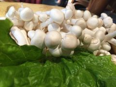-老牌坊云南鱼豆花火锅(爱建店)