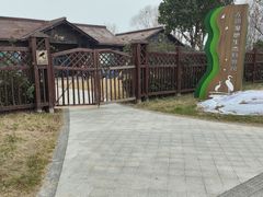 -贡湖湾湿地公园