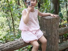 -西双版纳原始森林公园