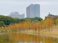 -东莞植物园