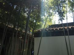-梅园