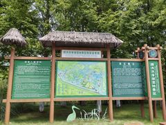 -泗洪洪泽湖湿地景区