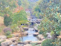 -桃花岭景区