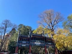 -香山公园