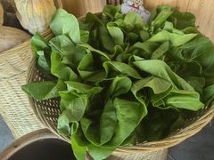 -南山民肴·乡土徽菜(豪辰俪景店)