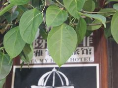 -佟小曼手工茶饼坊(鼓浪屿1店)