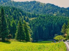 -武陵山森林公园