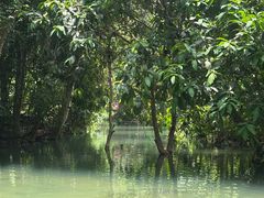 -关西瀑布
