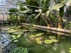 -国家植物园南园