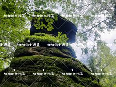 -汤旺河林海奇石景区