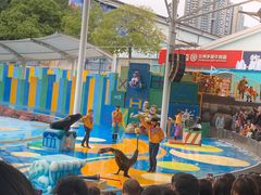 -海合安成都极地海洋公园