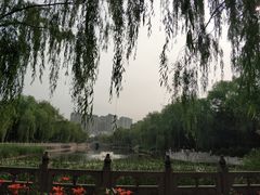 -文瀛公园