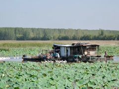 -微山湖红荷湿地景区