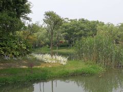 -尚贤河湿地