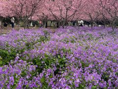 -白塘生态植物园
