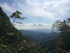 -王顺山国家森林公园