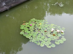 android_upload_pic-浙江农林大学(东湖校区)