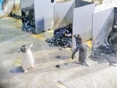 -成都浩海立方海洋公园