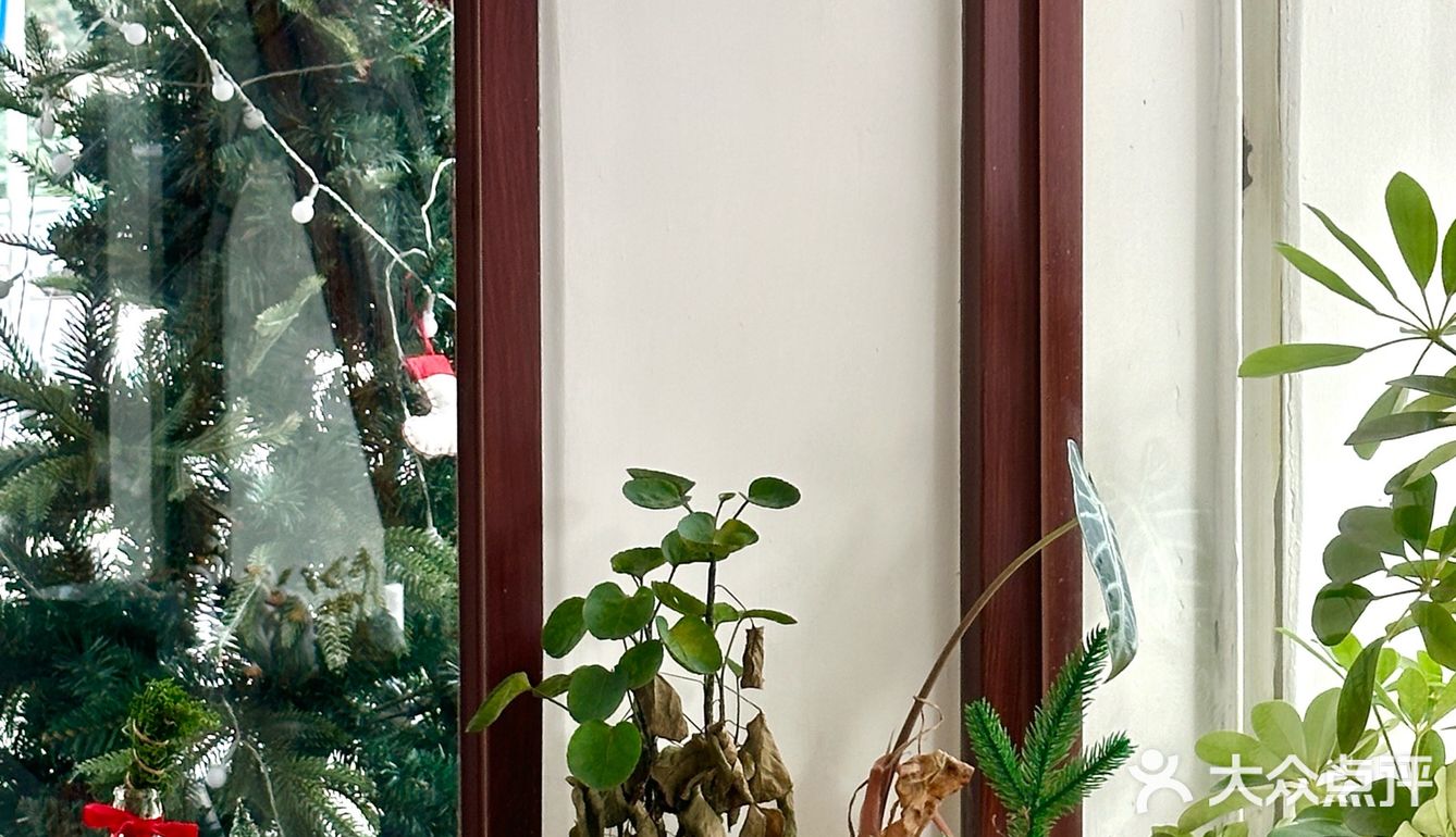 厦门探店｜槟榔社区里的一家宝藏糖水铺