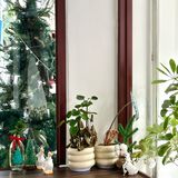 厦门探店｜槟榔社区里的一家宝藏糖水铺