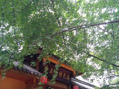 -牛王庙特色面(杏苑公寓店)