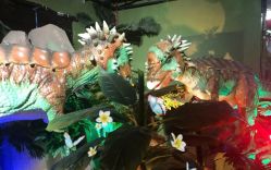 -恐龙探索乐园(磁器口店)