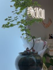 -章光101防脱养发荟