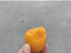 -油麻地果栏