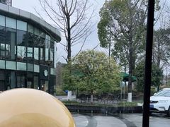 -几荷·恰似故人来(秀水广场店)