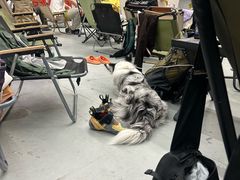 -绿壁虎攀岩基地(Tcar店)