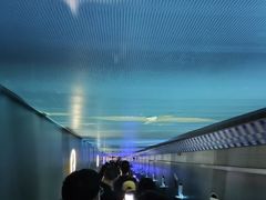 -白鹤梁水下博物馆
