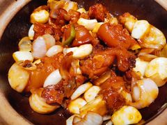 -望乡楼上海菜(日月光店)