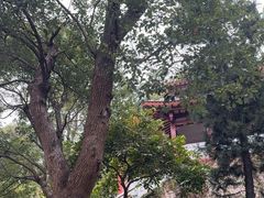-鸿山公园