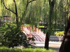 -元大都城垣遗址公园