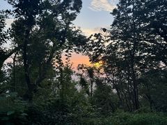 -紫金山山顶公园