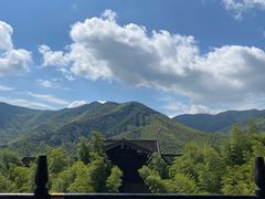 -大唐贡茶院