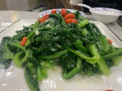 炒油麦菜-三江源美食城
