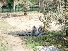 -杭州野生动物世界