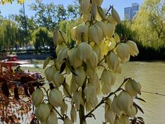 -南翠屏公园
