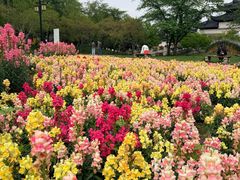 -苏州上方山国家森林公园