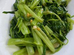 -乌文新澄海卤鹅店