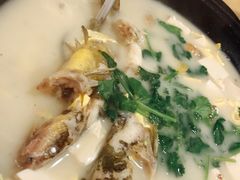 鲜香黄骨鱼-粤赏点(越秀城市广场店)