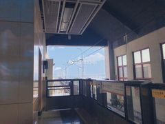 -海堤纪念公园