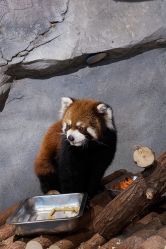 -Zoolung Zoolung动物主题公园(海信广场店)