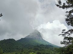 -天龙顶山地公园