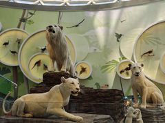 -陕西自然博物馆