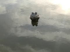 -雁滩公园