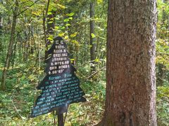 -五营红松林海景区