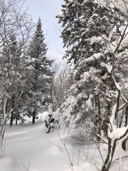 -大秃顶子山